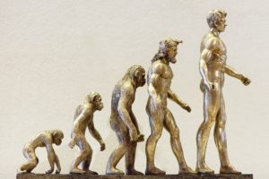 künstlerische Darstellung der Evolution des Menschen
