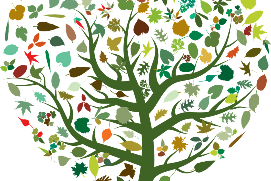 abstrakter Baum