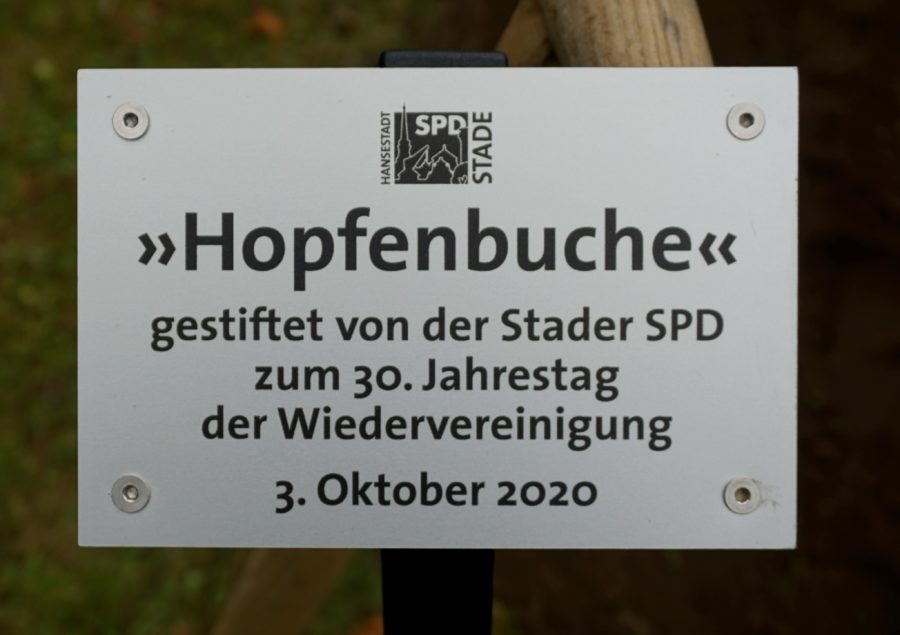 Tafel Demokratiebaum zum 30. Jahrestag der Wiedervereinigung