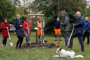 SPD Stade pflanzt einen Demokratiebaum