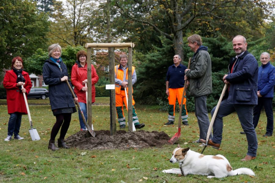 SPD Stade pflanzt einen Demokratiebaum