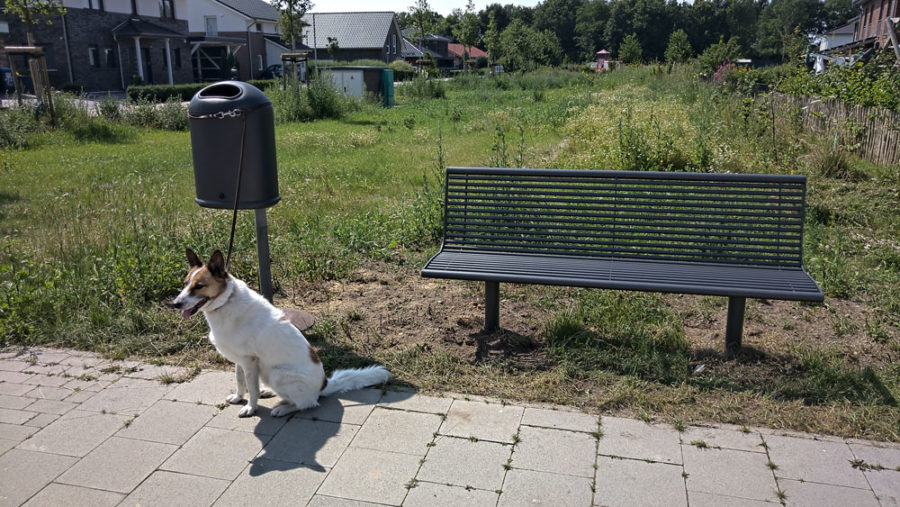 SPD Antrag umgesetzt: Parkbänke in Stade Riensförde, Parkbank mit Müllbehälter und wartendem Hunde