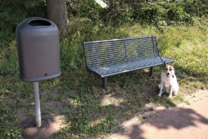 SPD Antrag umgesetzt: Parkbänke in Stade Riensförde, Parkbank mit Müllbehälter und wartendem Hunde