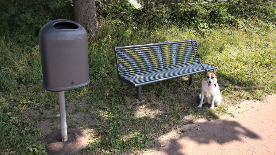 SPD Antrag umgesetzt: Parkbänke in Stade Riensförde, Parkbank mit Müllbehälter und wartendem Hunde
