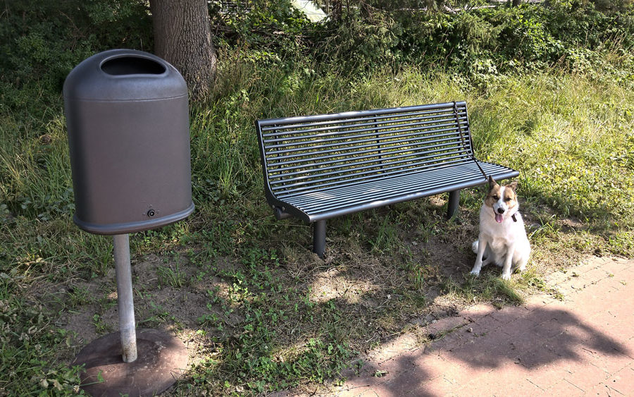 SPD Antrag umgesetzt: Parkbänke in Stade Riensförde, Parkbank mit Müllbehälter und wartendem Hunde