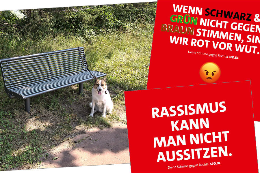 Sozen-Sonntag Nummer 3: Parkbänke für Riensförde, Sharepics: "Rassismus kann man nicht aussitzen" sowie "Wenn schwarz und grün nicht gegen braun stimmen, sind wir rot vor Wut."