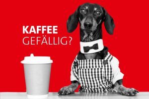 Dackel als Barista mit Fliege und Schürze als Aufmacher für den SPD Kaffeetreff